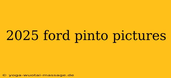 2025 ford pinto pictures