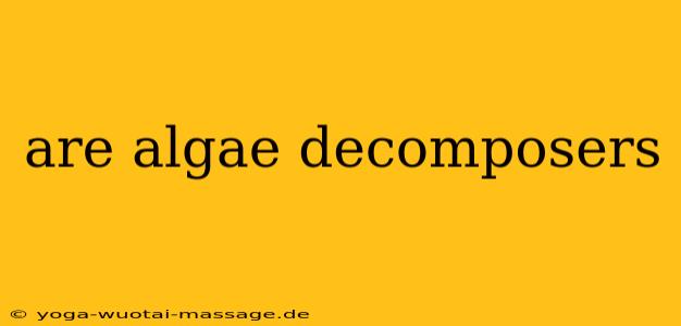 are algae decomposers