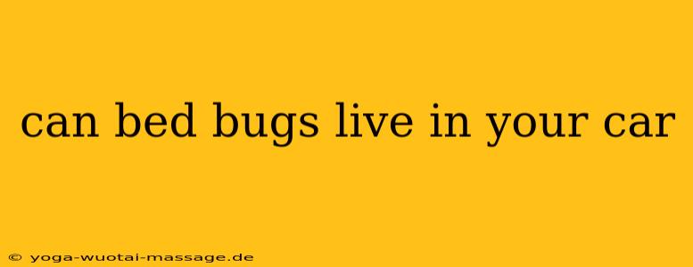 can bed bugs live in your car