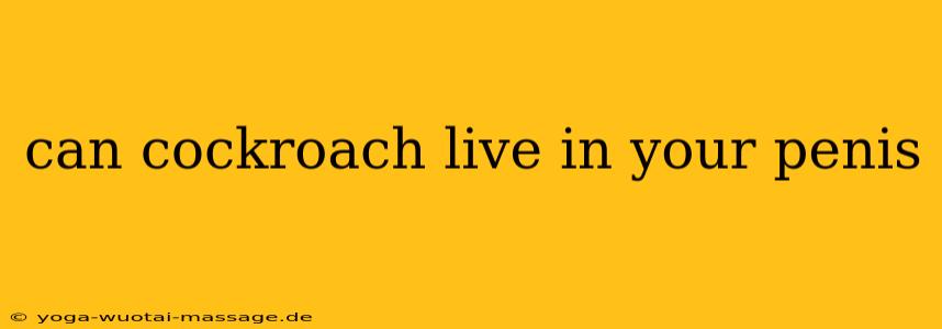 can cockroach live in your penis
