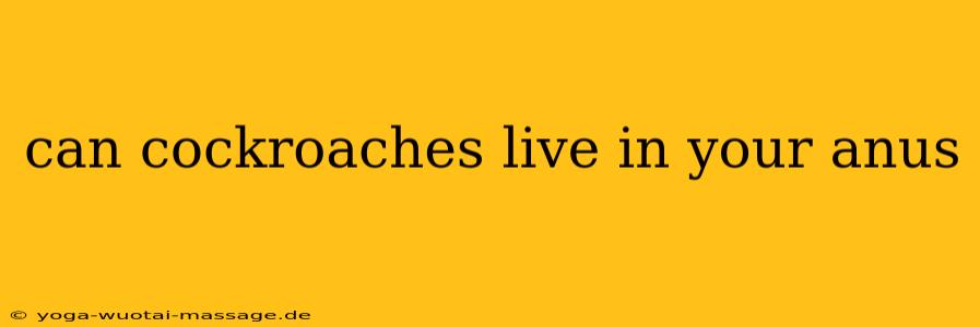 can cockroaches live in your anus