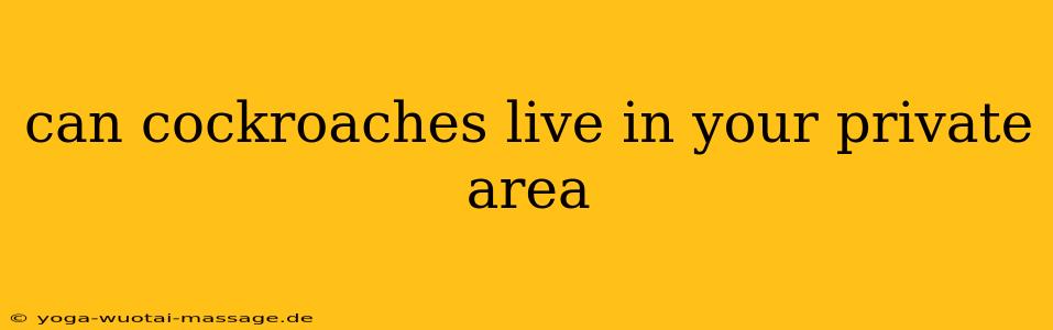 can cockroaches live in your private area