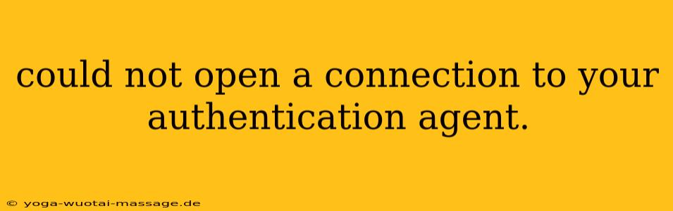 could not open a connection to your authentication agent.