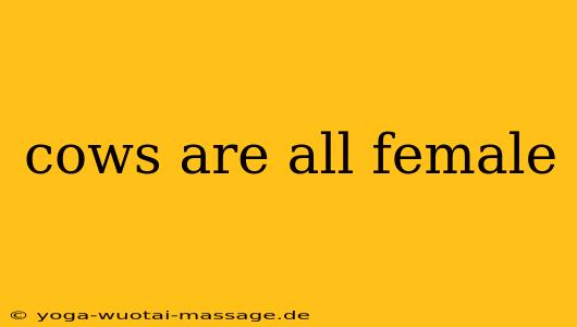 cows are all female