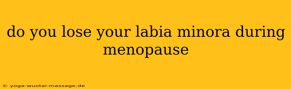 do you lose your labia minora during menopause