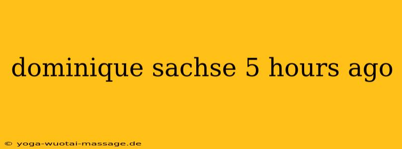 dominique sachse 5 hours ago