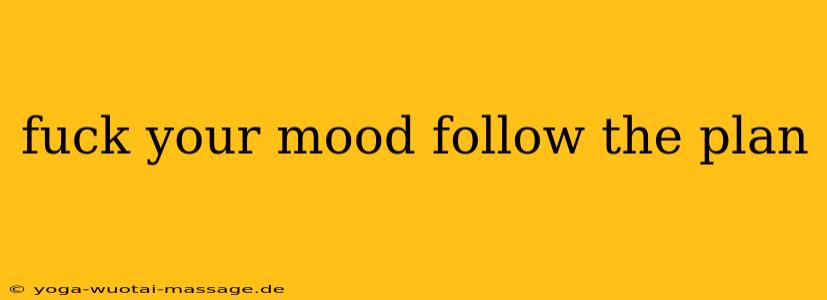 fuck your mood follow the plan