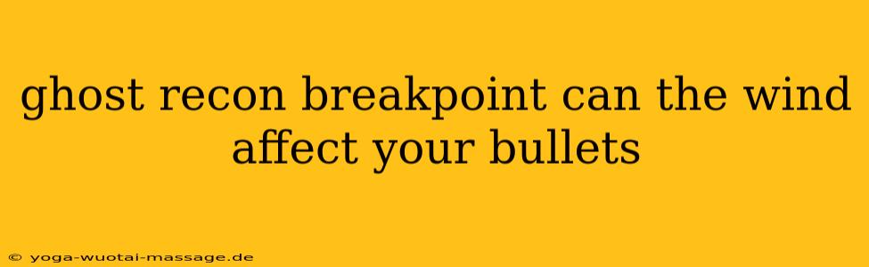 ghost recon breakpoint can the wind affect your bullets