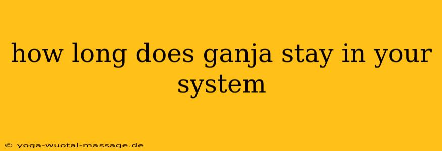 how long does ganja stay in your system