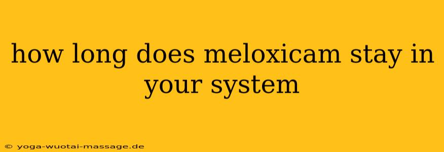 how long does meloxicam stay in your system