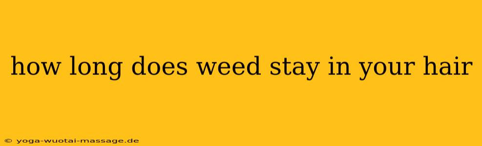 how long does weed stay in your hair
