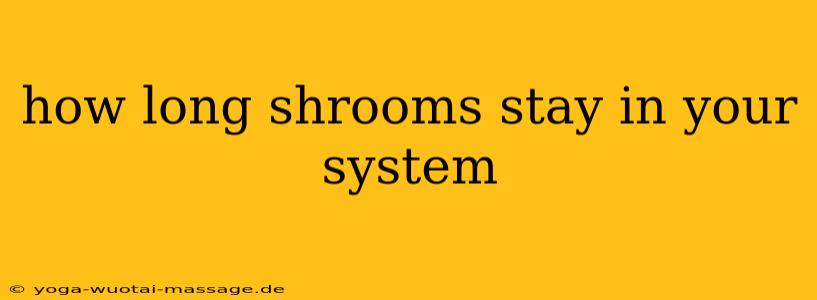 how long shrooms stay in your system