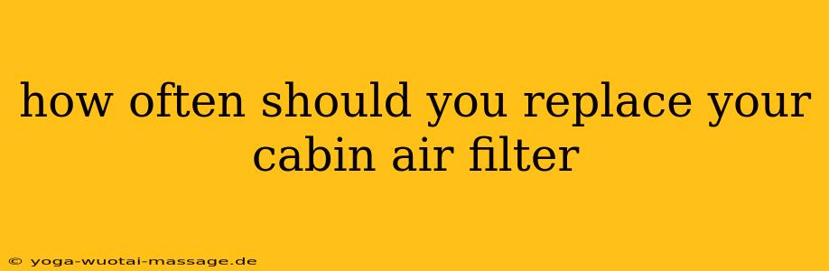 how often should you replace your cabin air filter