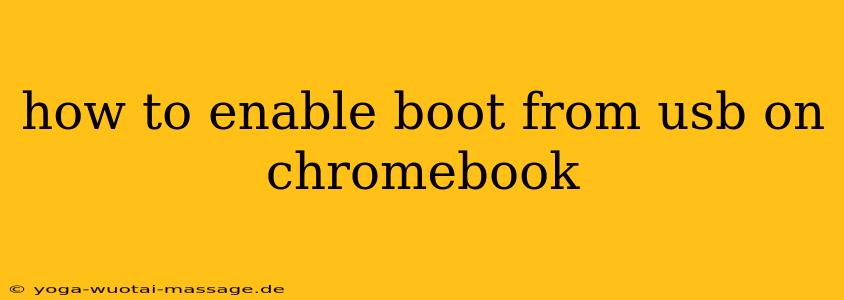 how to enable boot from usb on chromebook