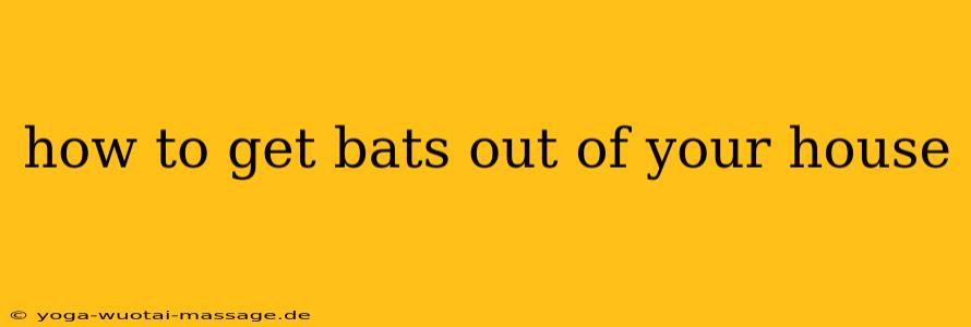 how to get bats out of your house