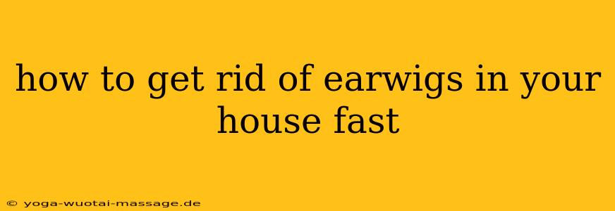 how to get rid of earwigs in your house fast