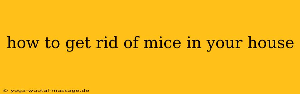 how to get rid of mice in your house