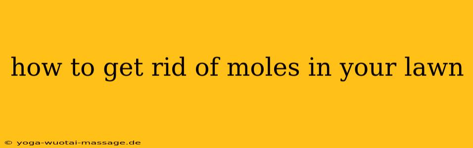 how to get rid of moles in your lawn