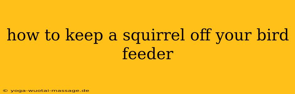 how to keep a squirrel off your bird feeder