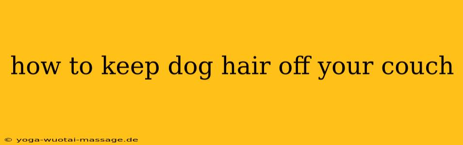 how to keep dog hair off your couch