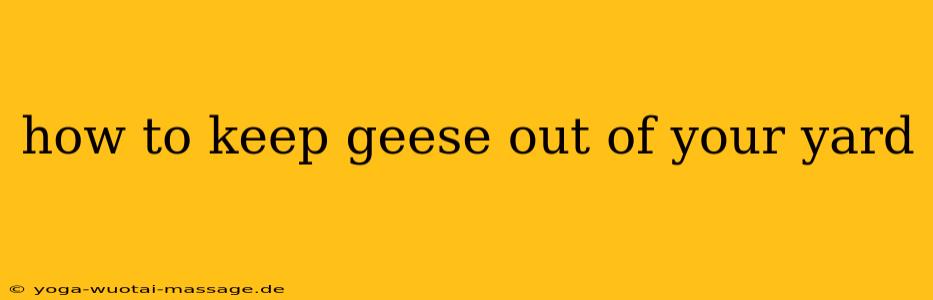 how to keep geese out of your yard