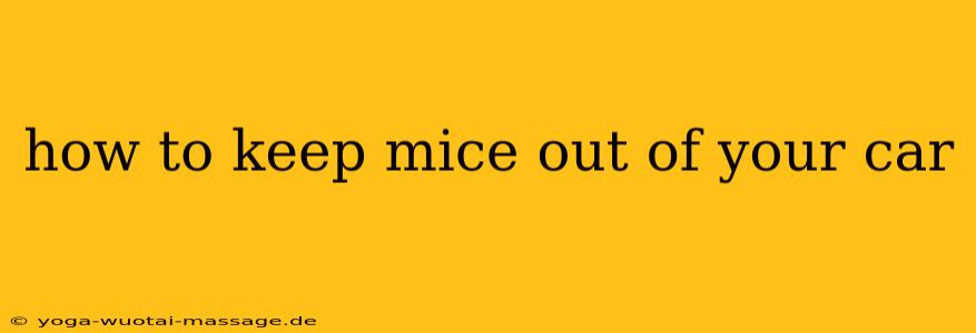 how to keep mice out of your car