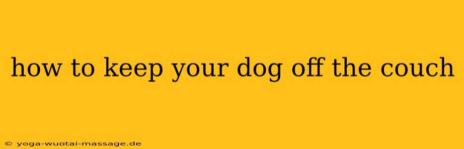 how to keep your dog off the couch