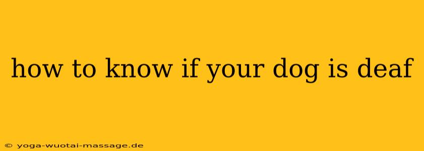 how to know if your dog is deaf