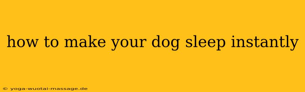 how to make your dog sleep instantly