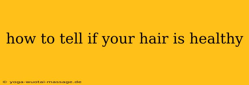how to tell if your hair is healthy