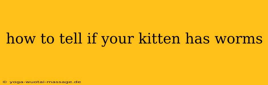 how to tell if your kitten has worms