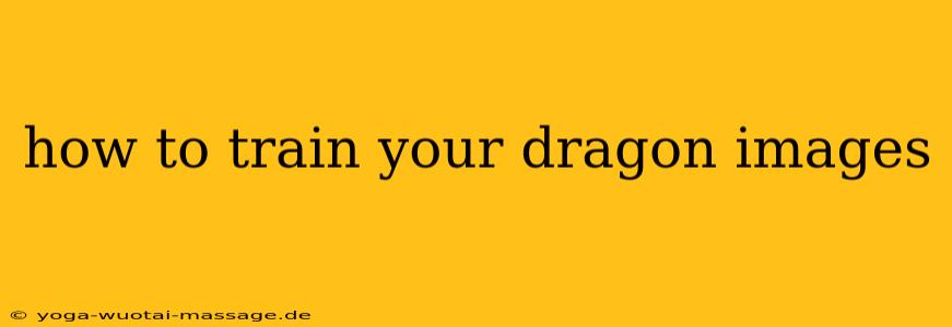 how to train your dragon images