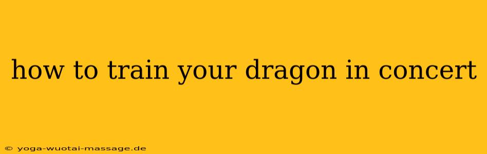 how to train your dragon in concert