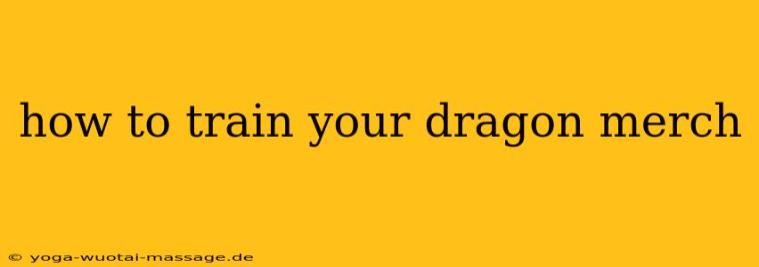 how to train your dragon merch