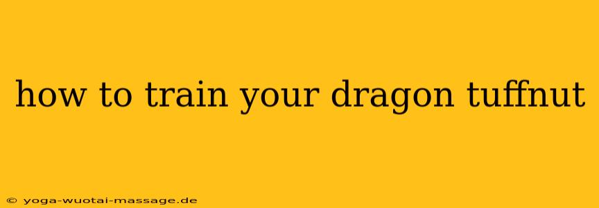 how to train your dragon tuffnut