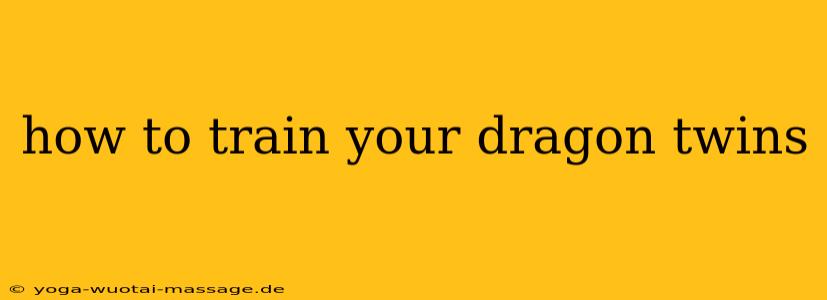 how to train your dragon twins