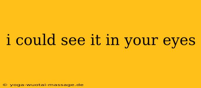i could see it in your eyes