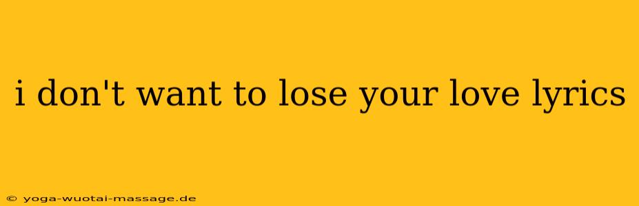 i don't want to lose your love lyrics