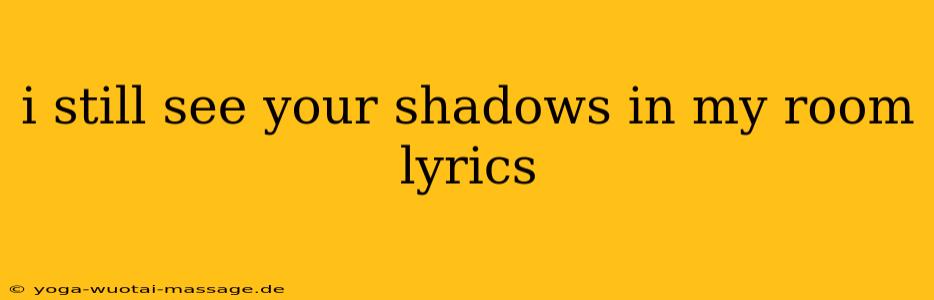 i still see your shadows in my room lyrics
