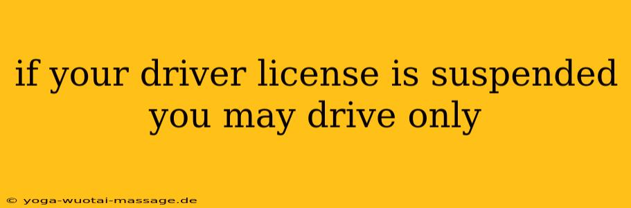 if your driver license is suspended you may drive only