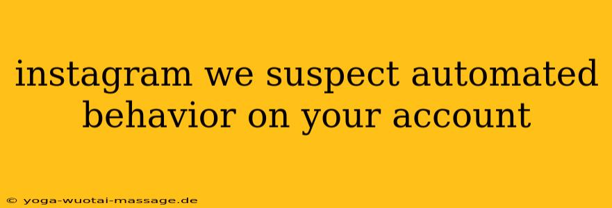 instagram we suspect automated behavior on your account