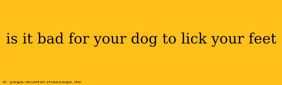 is it bad for your dog to lick your feet