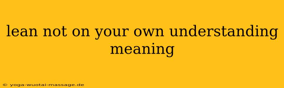lean not on your own understanding meaning