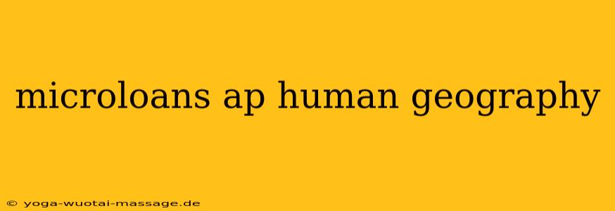 microloans ap human geography
