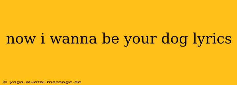now i wanna be your dog lyrics