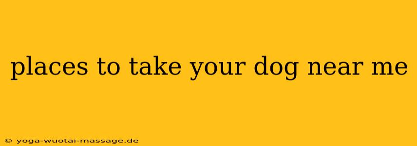 places to take your dog near me