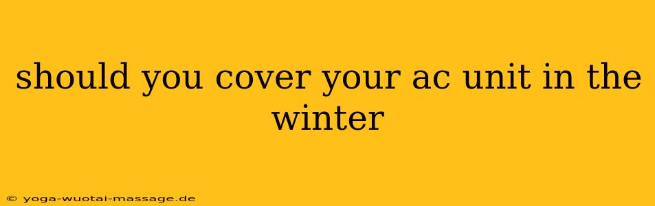 should you cover your ac unit in the winter