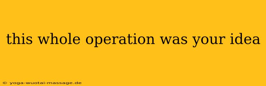 this whole operation was your idea