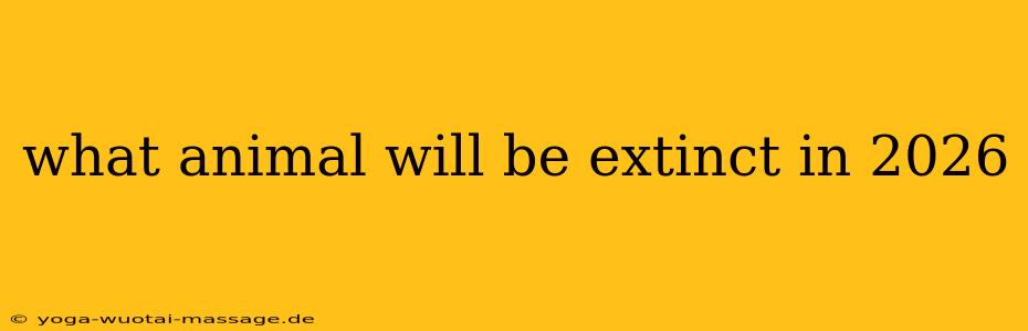 what animal will be extinct in 2026