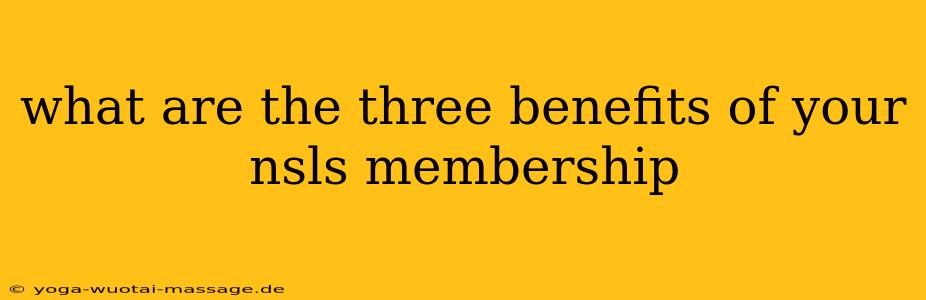 what are the three benefits of your nsls membership